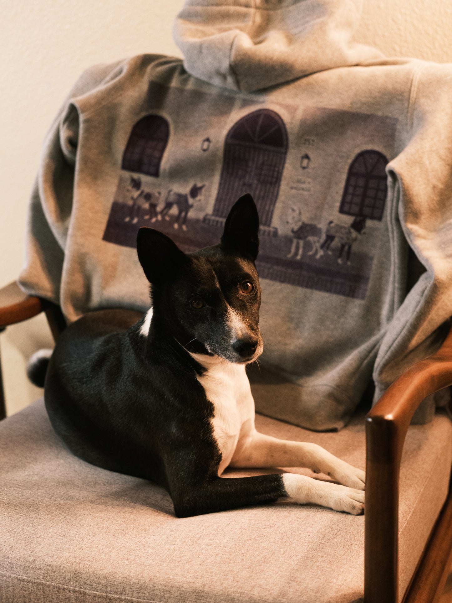 2025AW | Casa de Basenjis ~ Hand Screen-Printed Hoodie