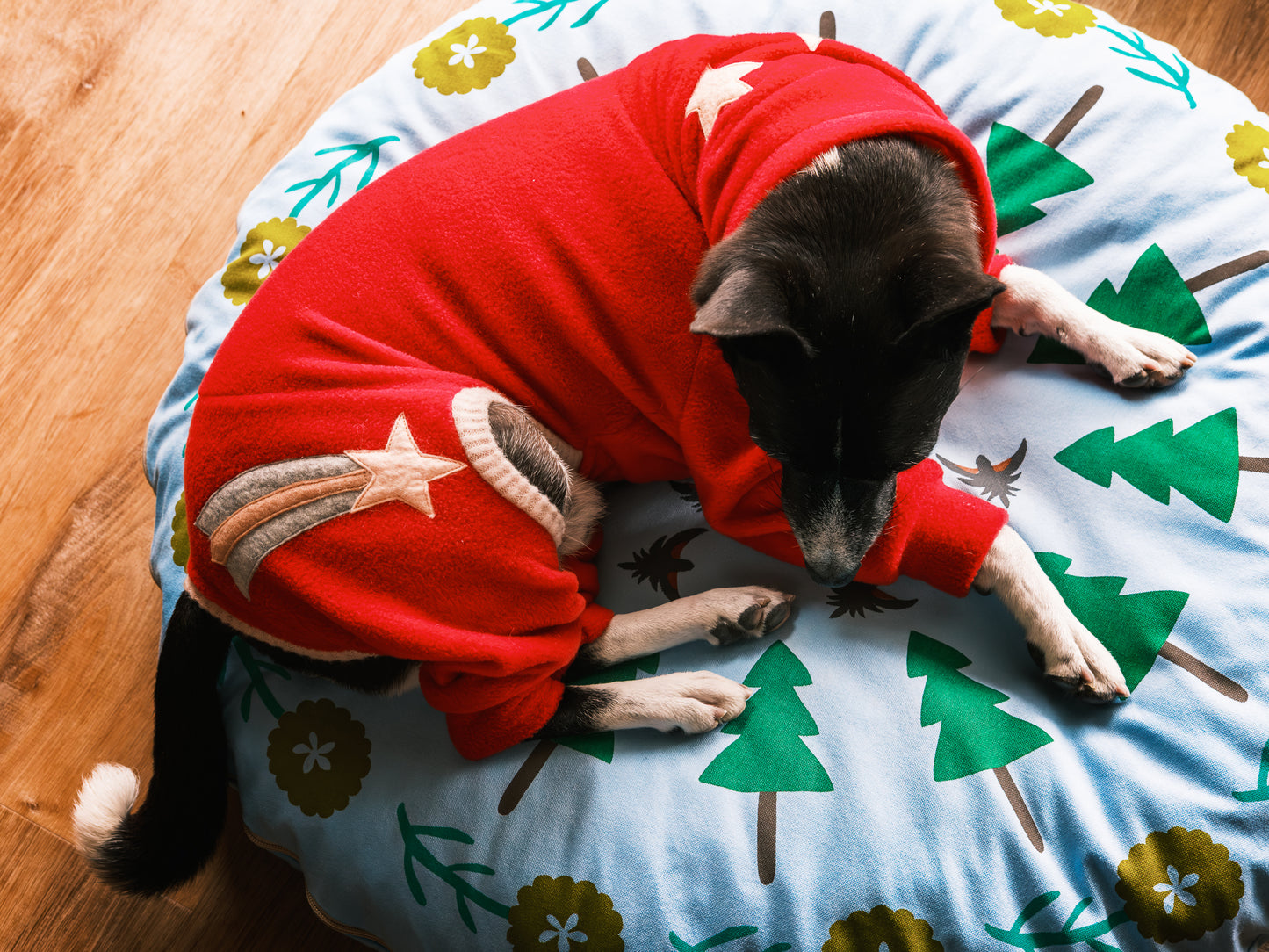 [Special Edition] Fleece Dog Outfit [Custom Made-to-Order]