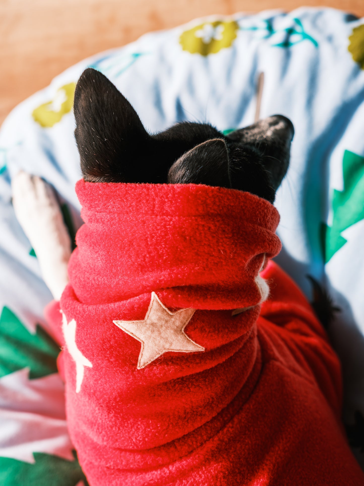 [Special Edition] Fleece Dog Outfit [Custom Made-to-Order]