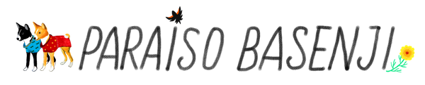 Paraíso Basenji