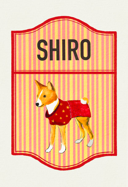 2024-2025 | 4 Basenjis | Basenji Cards and Stickers (paper & water resistant) [Stripe background]