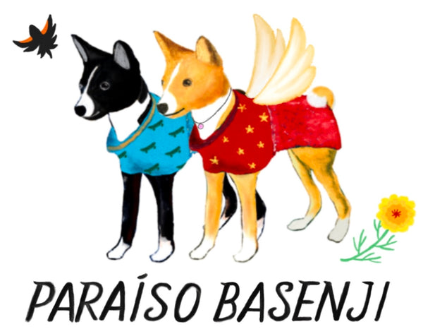 Paraíso Basenji